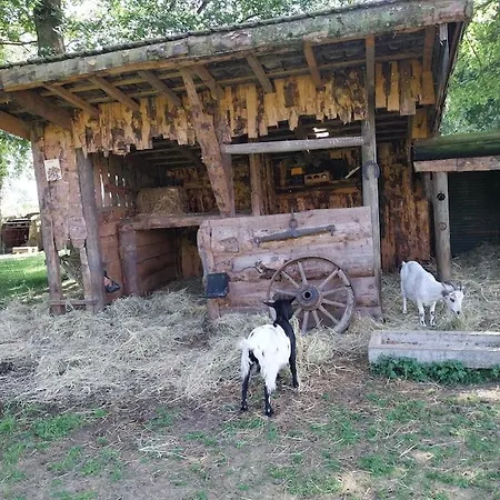 Hébergement de vacances Angebelle Taisnieres-en-Thierache