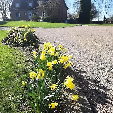 Angebelle